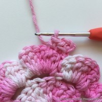 Flor Priscila 2 (29)