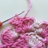 Flor Priscila 2 (30)