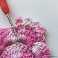 Flor Priscila 2 (31)