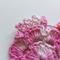 Flor Priscila 2 (33)