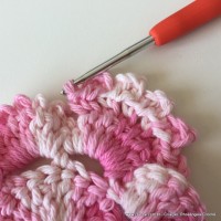 Flor Priscila 2 (34)