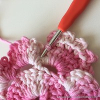 Flor Priscila 2 (35)