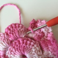 Flor Priscila 2 (36)