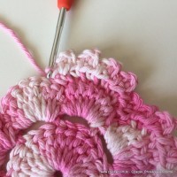 Flor Priscila 2 (37)