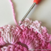 Flor Priscila 2 (38)