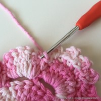 Flor Priscila 2 (39)