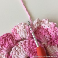 Flor Priscila 2 (40)