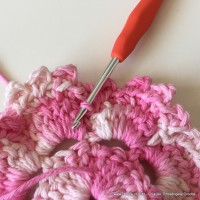 Flor Priscila 2 (41)