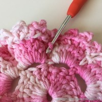 Flor Priscila 2 (42)