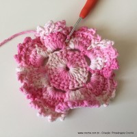 Flor Priscila 2 (43)