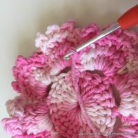 Flor Priscila 2 (45)