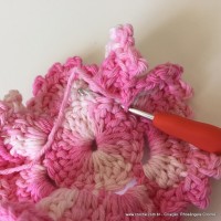 Flor Priscila 2 (46)