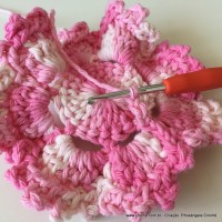 Flor Priscila 2 (47)