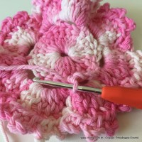 Flor Priscila 2 (49)