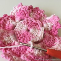 Flor Priscila 2 (50)