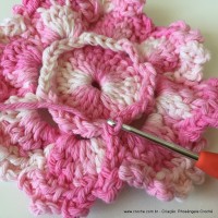 Flor Priscila 2 (51)