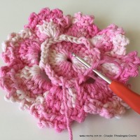 Flor Priscila 2 (52)