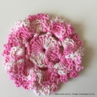 Flor Priscila 2 (55)