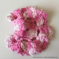 Flor Priscila 2 (56)