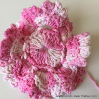 Flor Priscila 2 (58)