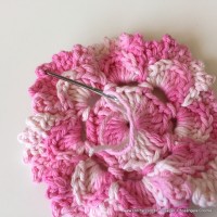 Flor Priscila 2 (59)