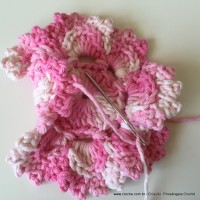 Flor Priscila 2 (60)