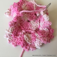 Flor Priscila 2 (62)