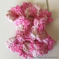 Flor Priscila 2 (63)