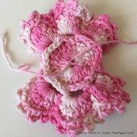 Flor Priscila 2 (66)