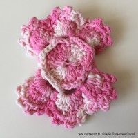 Flor Priscila 2 (67)