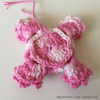 Flor Priscila 2 (76)