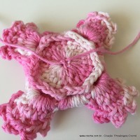 Flor Priscila 2 (77)