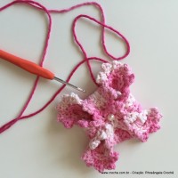 Flor Priscila 2 (83)