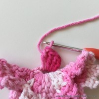 Flor Priscila 2 (87)