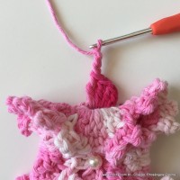 Flor Priscila 2 (88)