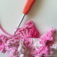 Flor Priscila 2 (91)