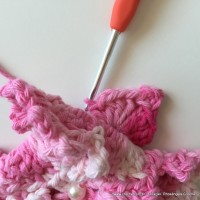 Flor Priscila 2 (93)