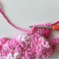 Flor Priscila 2 (94)