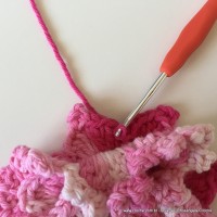 Flor Priscila 2 (97)