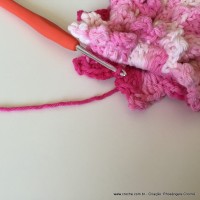 Flor Priscila 2 (98)