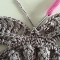 Sousplat - O blog do crochê passo a passo (101)