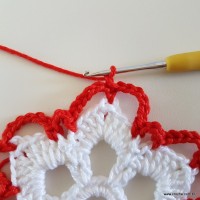 Centro de mesa com flor de pêsego (15)