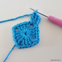 Tapete Max Luxo (10)