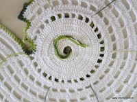 Tapete espiral passo a passo (214)