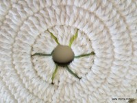 Tapete espiral passo a passo (228)