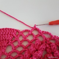 Tapete paixão passo a passo (369)