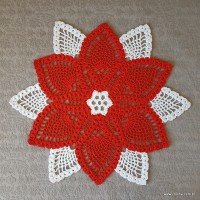 centro de mesa pronta (20)