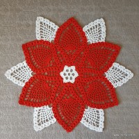 centro de mesa pronta (21)