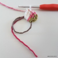 Flor Ellen passo a passo (3)
