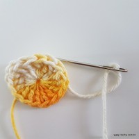 flor-caracol-bicuda-10